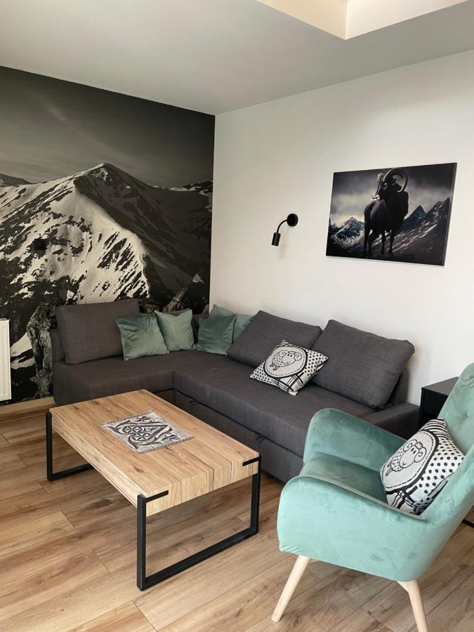 Czarny Baran Apartment Zakopane Luaran gambar